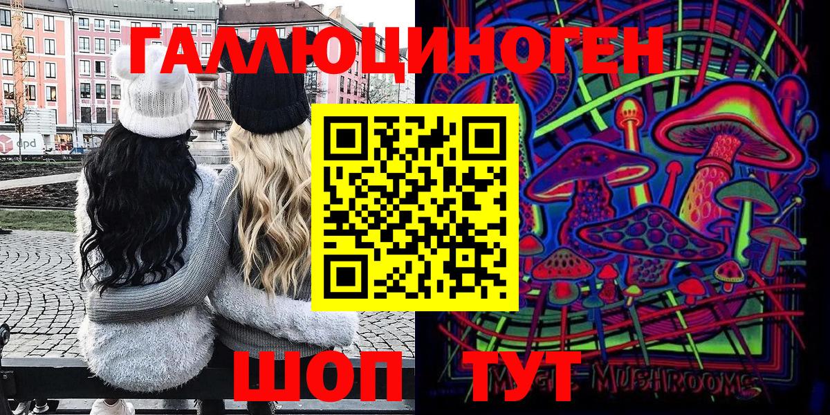 Артём  Псилоцибиновые грибы Psilocybe  Псилоцибиновые грибы Magic Shrooms  Вход с VPN 