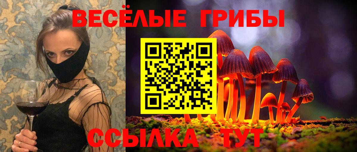 Галлюциногенные грибы MAGIC MUSHROOMS  цена наркотик  Артём 