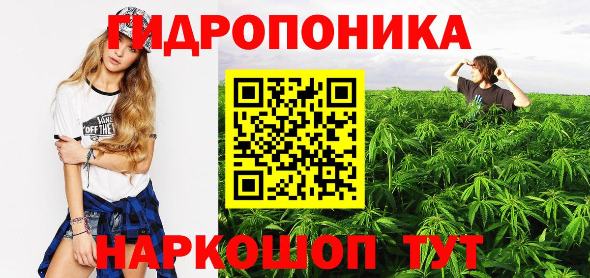 Артём  Канабис планчик  Вход с VPN  Бошки марихуана AK-47 
